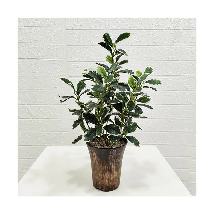 Tree supplies customization indoor decorative potted plant bonsai polyscias guilfoylei plastic artificial plant
