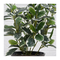 Tree supplies customization indoor decorative potted plant bonsai polyscias guilfoylei plastic artificial plant