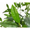 GS-CLS05-5 artificial plant artificial tree green artificial bonsai plant in pot for home garden landscape