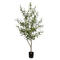 American People Likes Real Touch 5Ft Artificial Plants Olive Tree For Home Office Coffee Shop Indoor Decoration