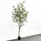 Nordic Style Popular Plastic Leaves Artificial Bonsai Plants 220cm Olive Tree For Shopping Mall Supermarket Store Decor