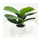 Garden supplies customization bonsai potted plant faux banyan decoration fiddle leaf fig tree ficus lyrata