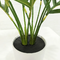 High quality natural green areca palm bonsai potted artificial kentia palm tree for indoor decoration