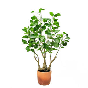 Artificial Plants Plastic Faux Money Bag Bonsai 75Cm Tall Artificial Plants In Pot For Office Coffee Shop Table Decor
