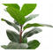 Factory Wholesales Price Plastic Trunk 55cm Ficus elastica Artificial Plant For Home Decoration Plant Artificial Ficus Elastica