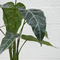 Hotel office shop decoration sea taro leaf plant deep green leaves black leaf taro artificial plants with pot