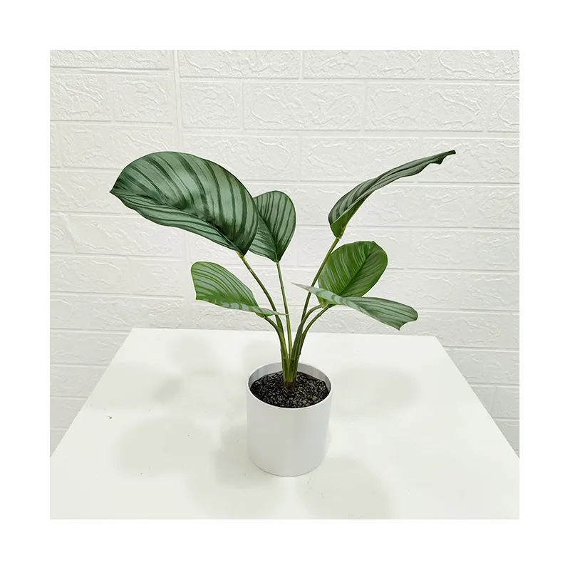 Garden supplies and factory top seller artificial green apple leaves bonsai calathea orbifolia potted plants for shop hote