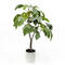 Factory Wholesales Hot Selling Plastic 183Cm 7 Branches Artificial Plants Tree Artificial Fiddle Leaf Fig Tree For Sale
