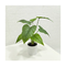 Home office decor flowers artificial plant table pot simulation bonsai potted anthurium plant artificial plants