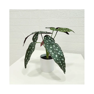 Hot selling wholesale artificial real touch artificial plants for home hotel office decorative