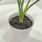 Hot selling wholesale artificial real touch artificial plants for home hotel office decorative