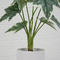 height 30cm garden supplies manufacturer artificial sweetpotato leaves greenery bonsai potted artificial plants