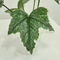 height 30cm garden supplies manufacturer artificial sweetpotato leaves greenery bonsai potted artificial plants