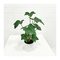 Height 40cm garden landscape decking artificial leaf plants faux sweet potato foliage for home indoor decor