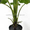 Artificial scindapsus aureus tree scindapsus bonsai potted plant