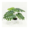 Artificial taro tree bonsai plant