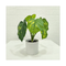 Height 30cm 6 leaves garden supplies simulation green turtle leaf decoration with small artificial potted plants