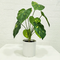 Height 30cm 6 leaves garden supplies simulation green turtle leaf decoration with small artificial potted plants