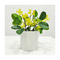 Faux fiddle leaf fig ficus tree potted plants