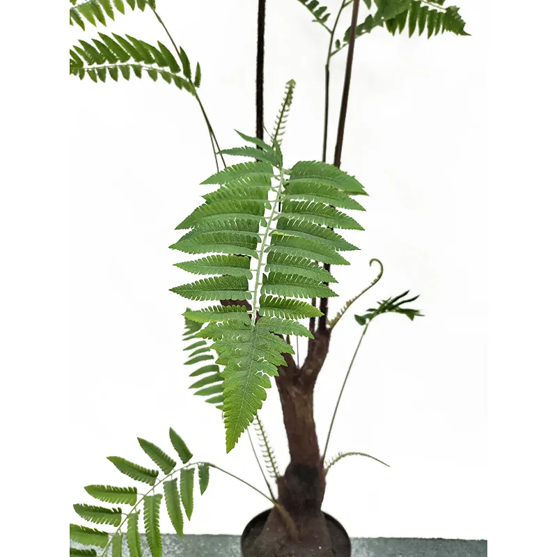 Newly arrived artificial fern trees for indoor and outdoor decoration landscape