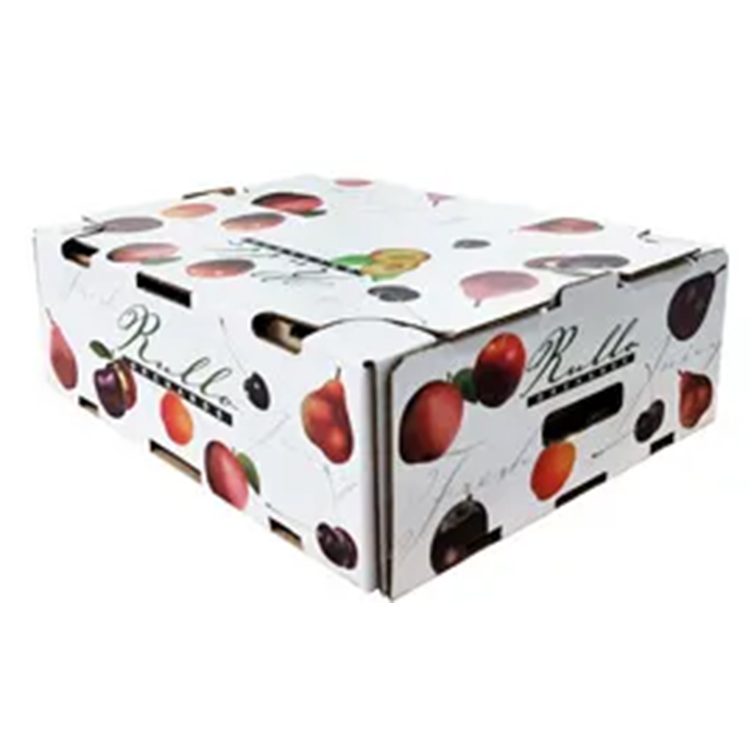 Caixas coloridas de papelão para embalagens de frutas para envio