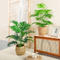 Nordisk stil simuleret plante bonsai dekoration, indendørs desktop, mini grøn plante, kontor blød dekoration, gulv dekoration