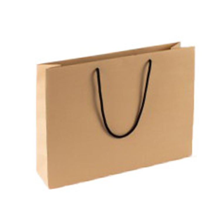 Biodegradable Clothing Paper Bags For Men Women Kids