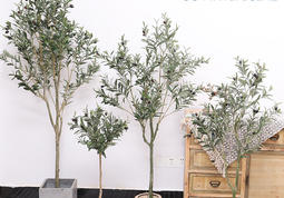 What are the advantages of artificial olive tree