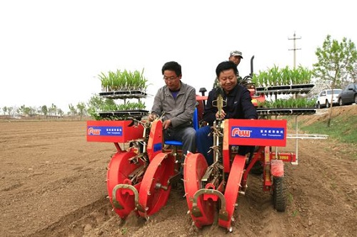 Modernización de maquinaria agrícola para promover la producción de bayas de Goji chinas