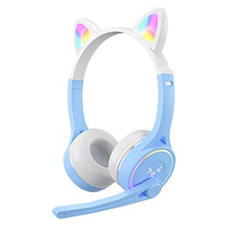 X22SY-T30
