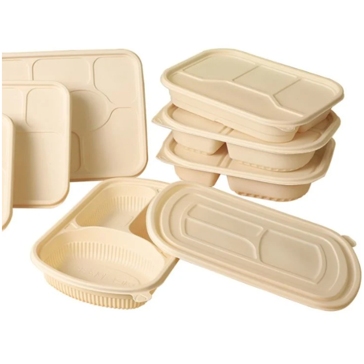 Eco Compostable Food Boxes Packaging