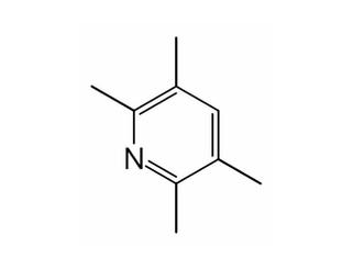 Tetramethylpyrazine 1124-11-4