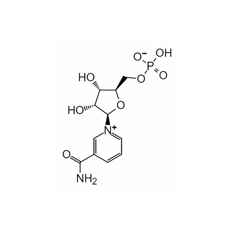 β-Νικοτιναμίδιο Μονονυκλεοτίδιο 1094-61-7