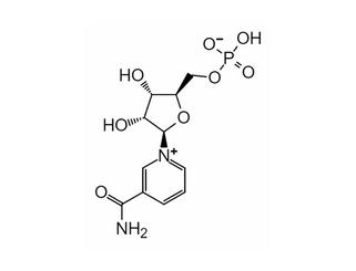 β-నికోటినామైడ్ మోనోనిక్లియోటైడ్ 1094-61-7