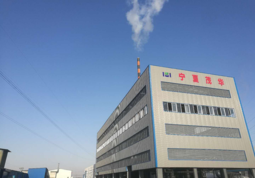 Foreign-Owned Enterprise Excels in Customized Activated Carbon Production for Various Industries