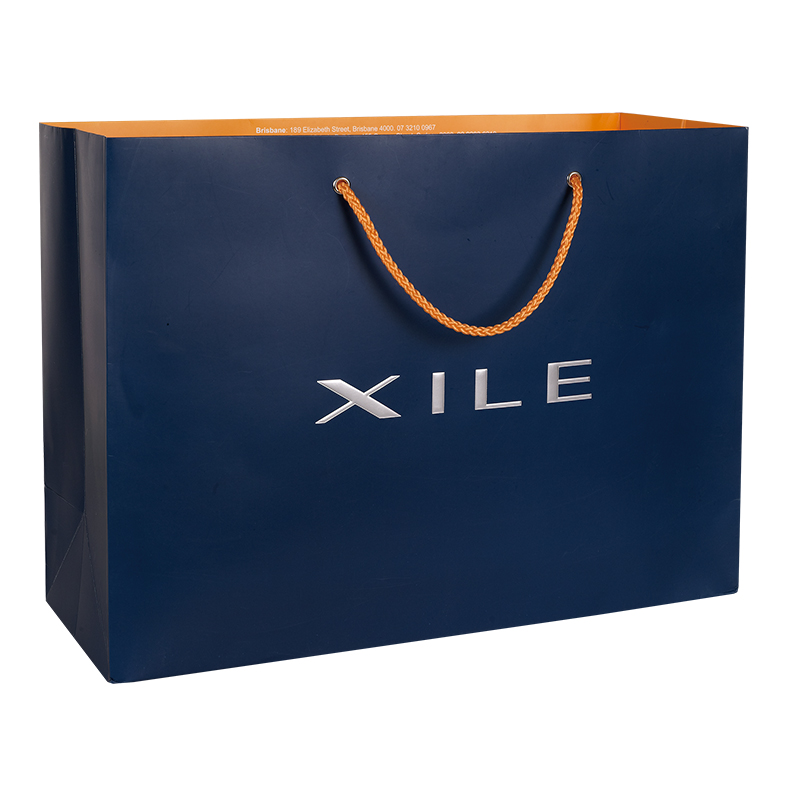 Paper Shopping Bag with ribbon rope for shoes
