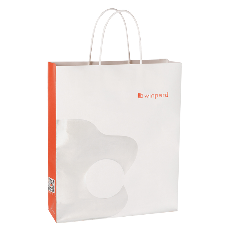 Бумажная сумка для покупок с печатью логотипа для одежды