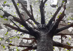 Guansee: Прегръщане на красотата на изкуствените черешови дървета