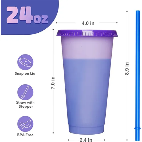 Reusable Cups with Lids and Straws