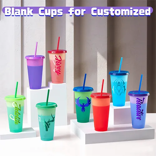 Reusable Cups with Lids and Straws