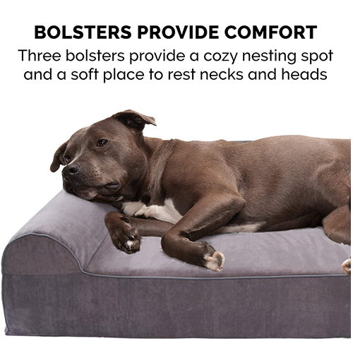 Comfortable and warm: the importance and choice of pet beds