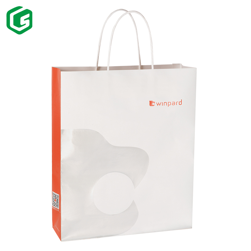 Paper Shopping Bag with Logo printing for clothes