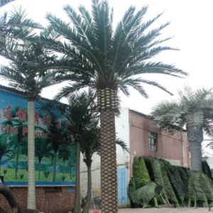 Artificial palm trees have wide application prospects