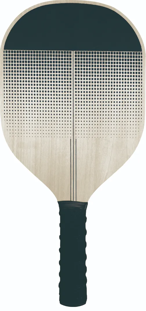 Pickleball Set with Net