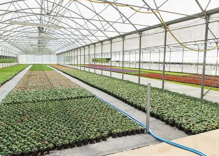 Advantages and scope of electric heat tracing used in plant greenhouses