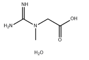 Supplier of Creatine monohydrate CAS 6020-87-7