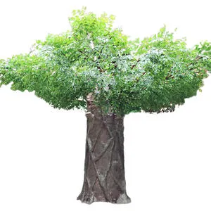 What are the benefits of the ficus tree