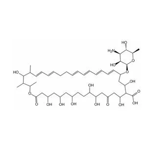 Jiaoze company: New CDMO service helps drug research and development and production