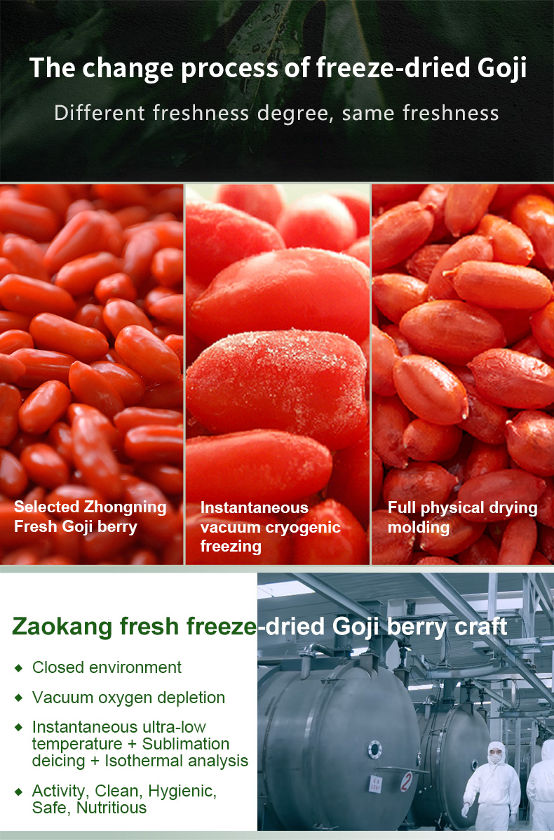 Freeze-dried Goji Berry