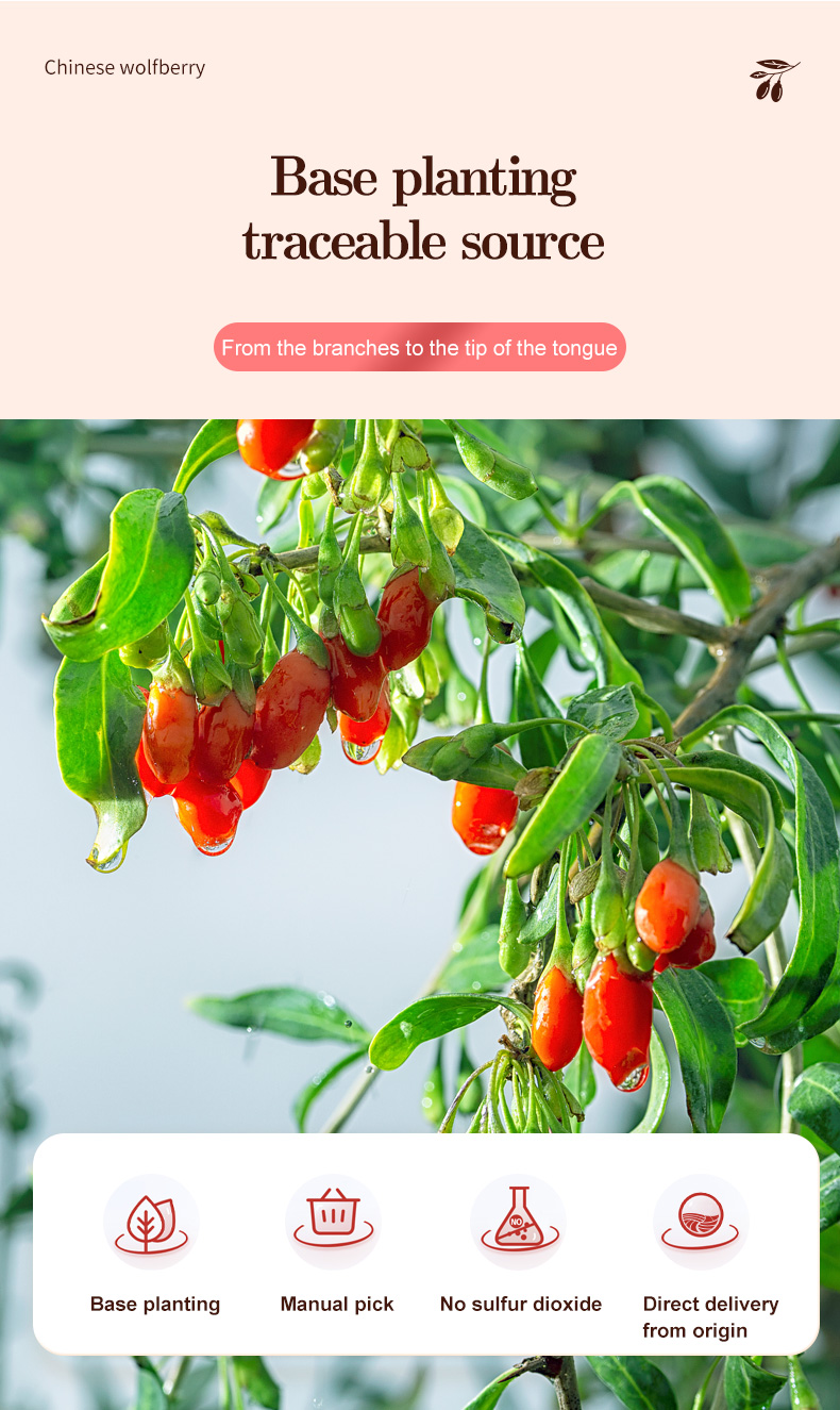 Pure Natural Traditional Red Goji Berries